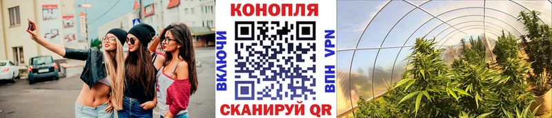 МЕФ Высоцк